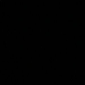 Meet your Posher, Lennox